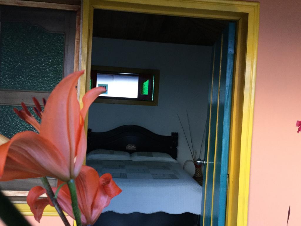 Casa Pachamama Hostel Salento Room photo